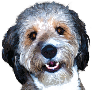 Lucky Murphy Printing